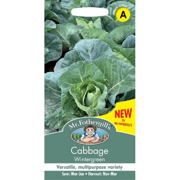 Cabbage Wintergreen Seeds
